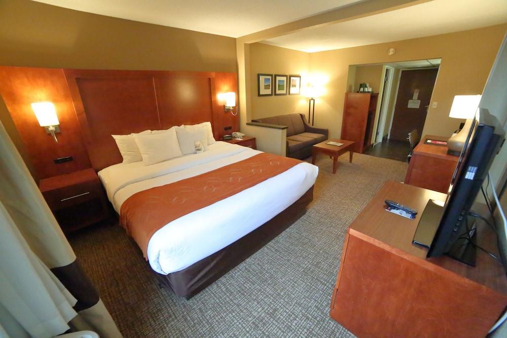 Comfort Suites Bethlehem Near Lehigh University And Lvi Airport Экстерьер фото